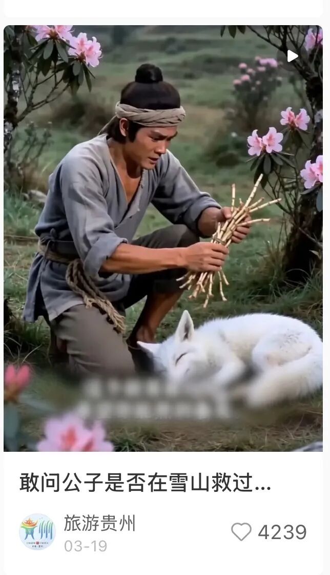 图注：小红书“旅游贵州”官方账号