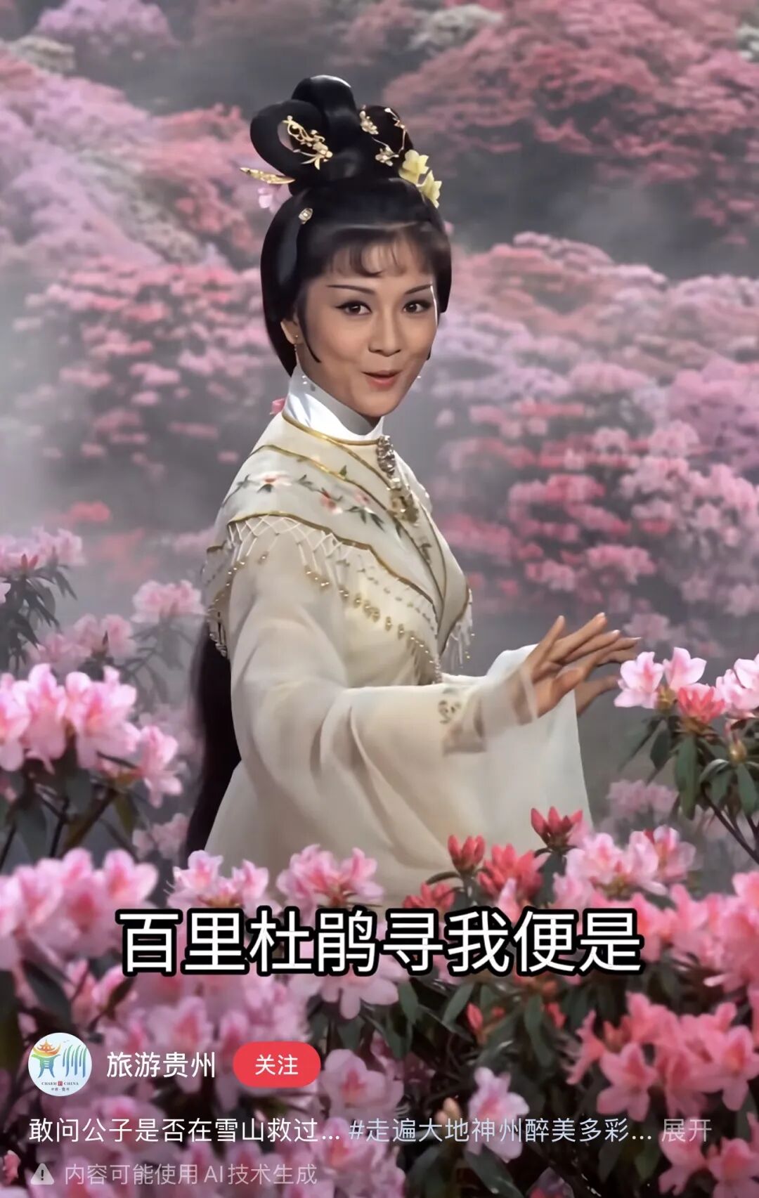 图注：旅游贵州“雪山救狐”AI视频